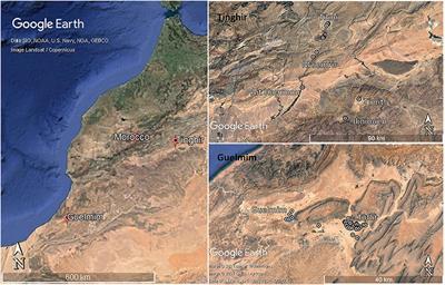 Heterogeneity of Resilience of Livelihood Strategies in Pastoral and Agropastoral Farming Systems of Rural Semi-arid to Arid Areas in Morocco